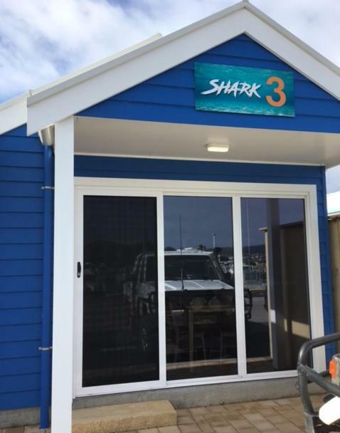 Shark 1 *